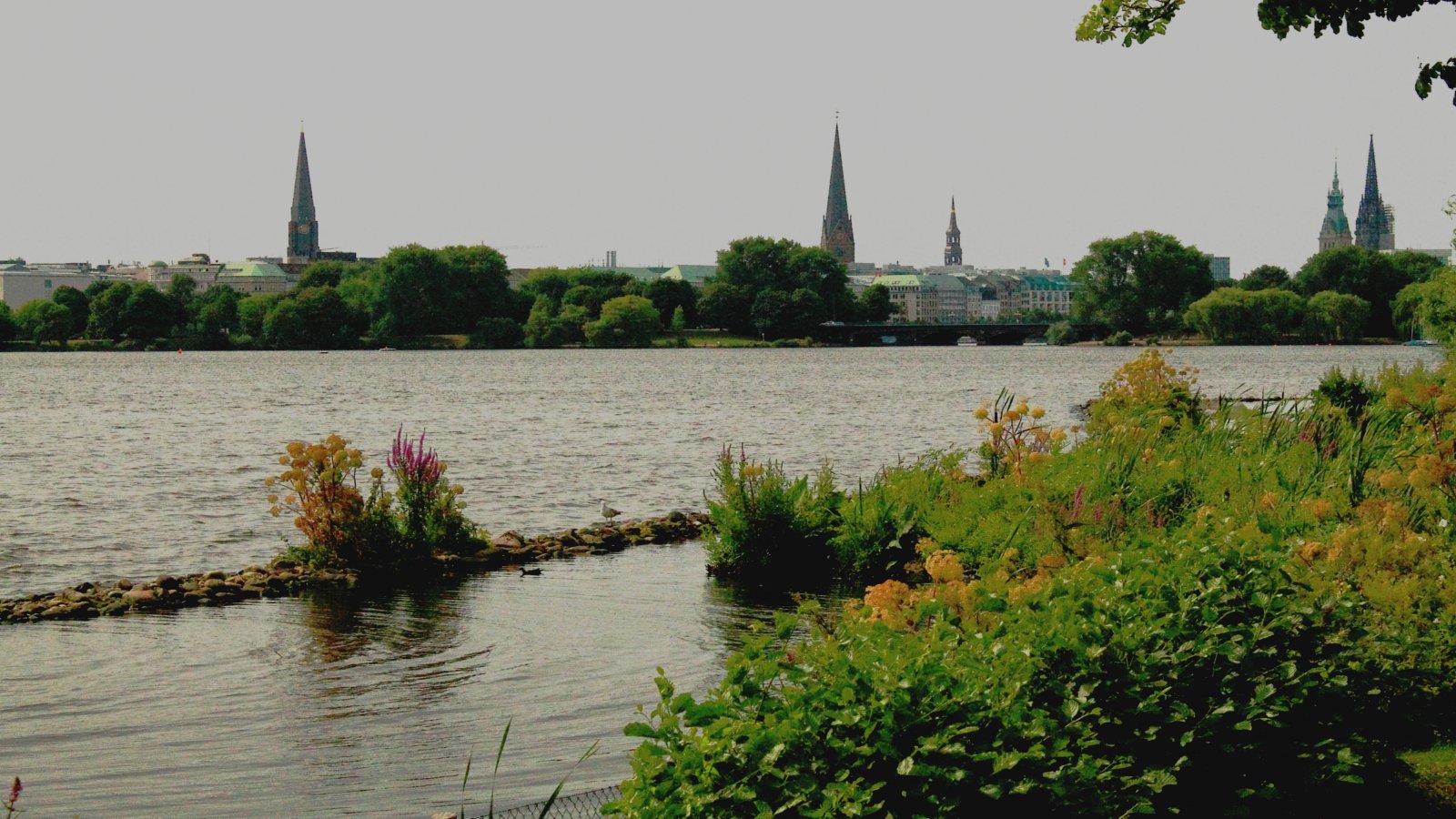  am Ufer der Auenalster 