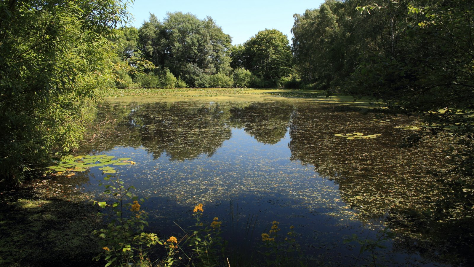  Norderstedt - im Stadtpark 