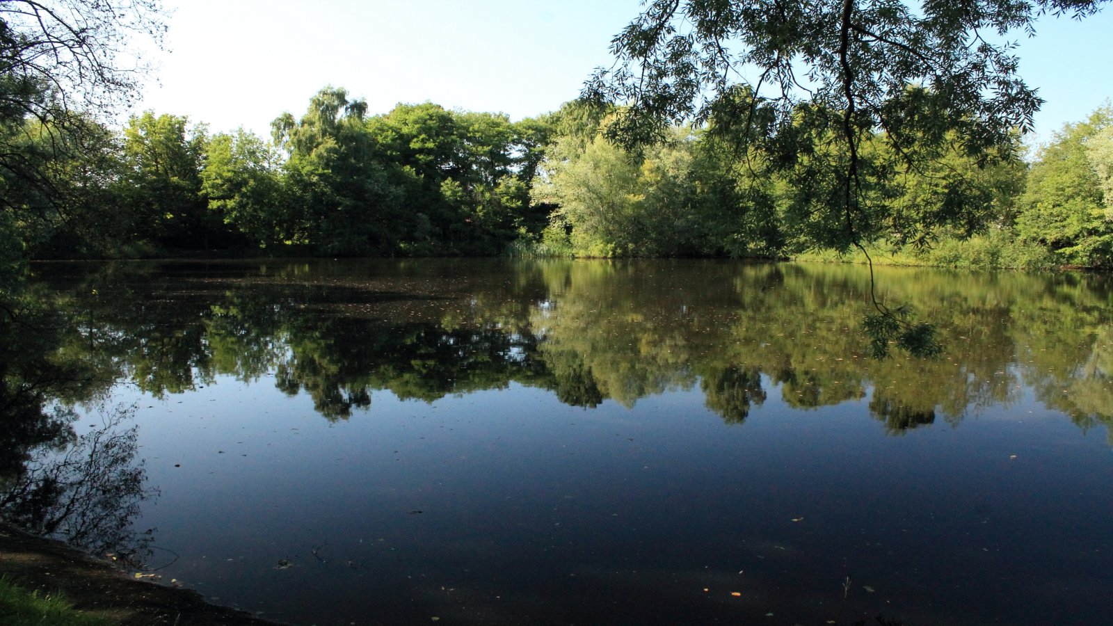  Raakmoorgraben Rückhaltebecken - Hamburg-Hummelsbüttel 