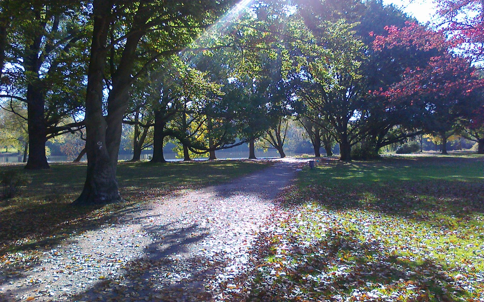  Frankfurt-Main - Güntherpark 