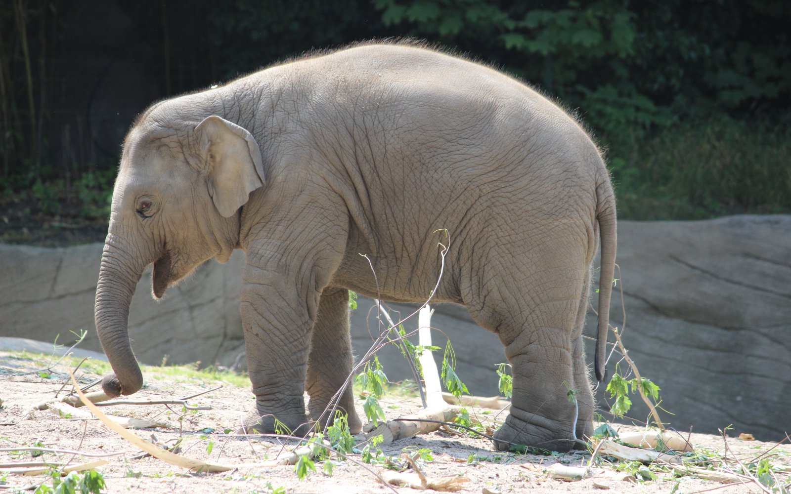  Hagenbecks Tierpark 