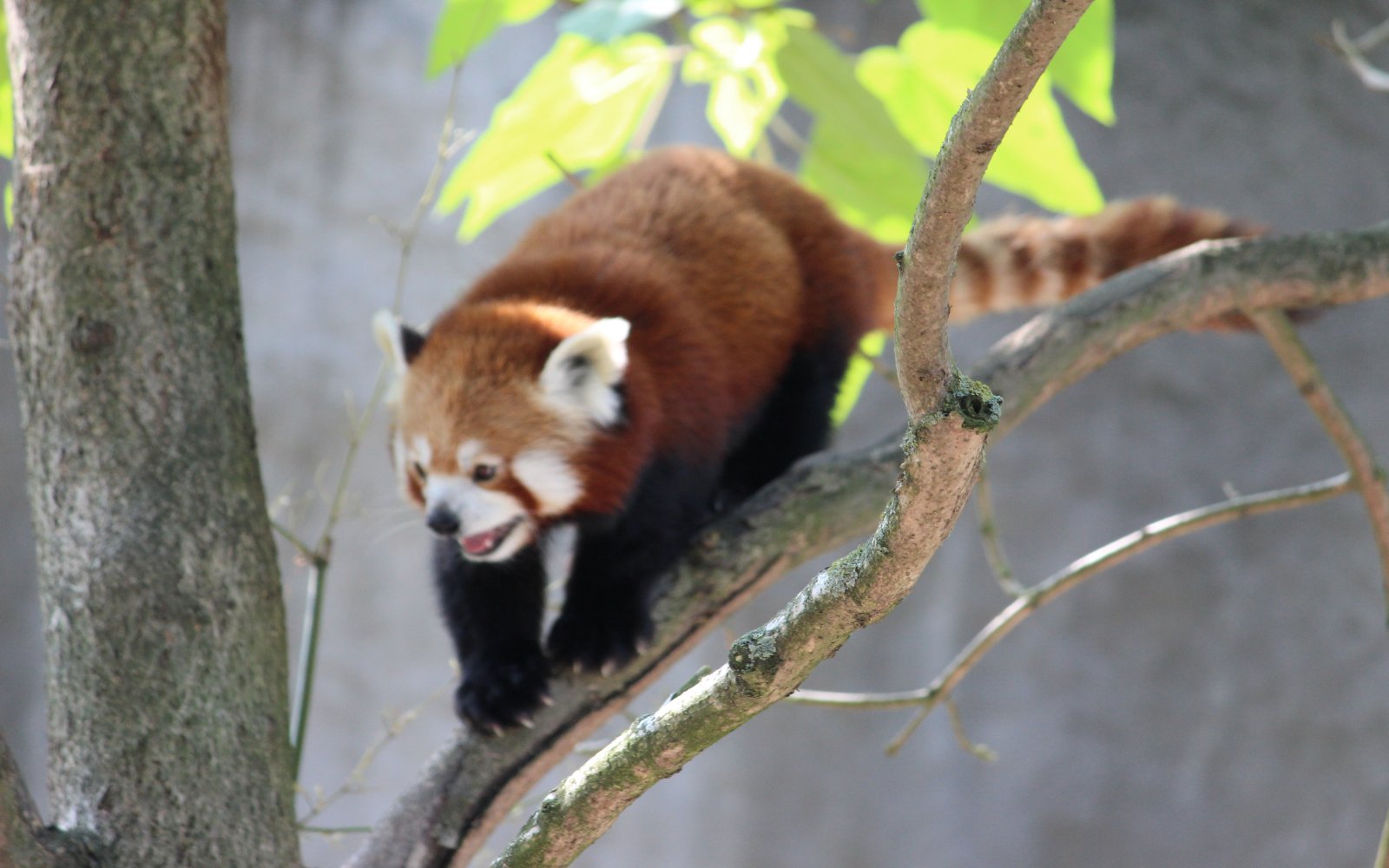  Hagenbecks Tierpark 